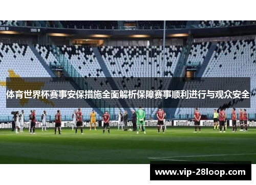 体育世界杯赛事安保措施全面解析保障赛事顺利进行与观众安全