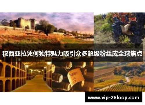 穆西亚拉凭何独特魅力吸引众多超级粉丝成全球焦点