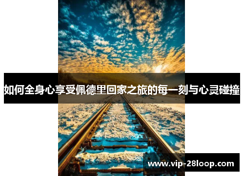 如何全身心享受佩德里回家之旅的每一刻与心灵碰撞
