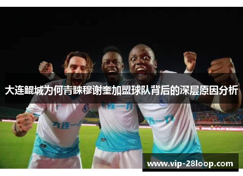 大连鲲城为何青睐穆谢奎加盟球队背后的深层原因分析